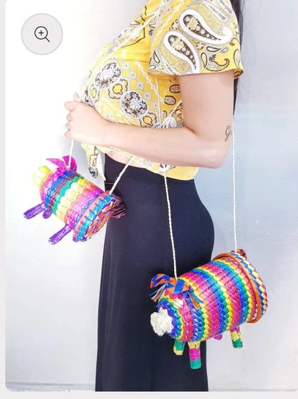 Piggy Purse (Multi)