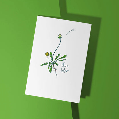 CUTE CARDS