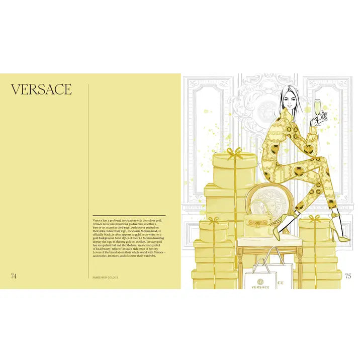Fashion in Color Book