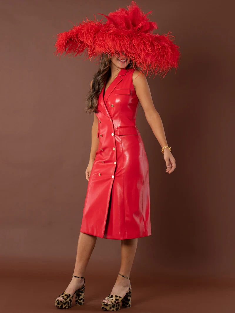 High Risk Red Dress
