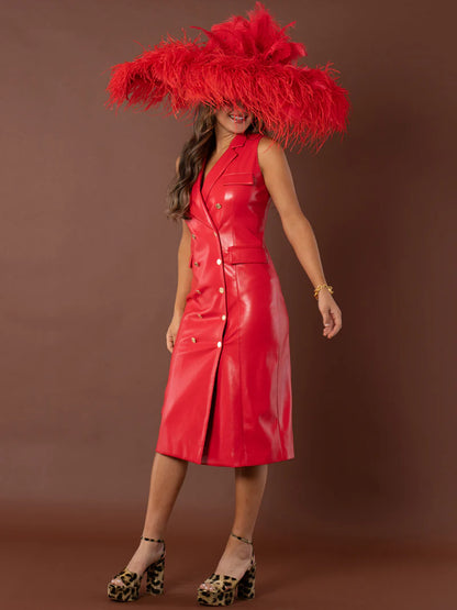 High Risk Red Dress