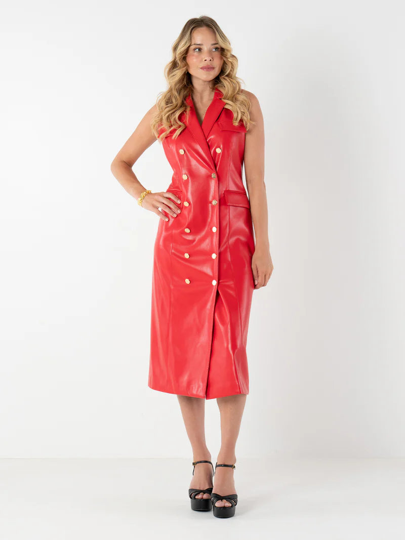 High Risk Red Dress