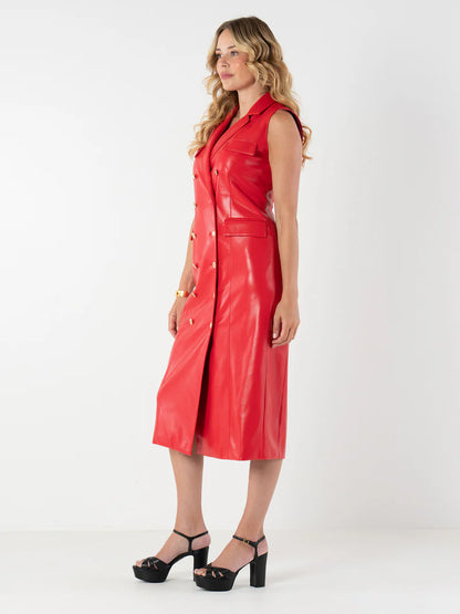 High Risk Red Dress