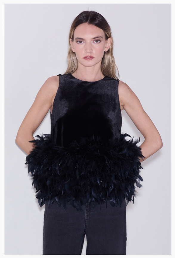 Velvet &amp; Feather Top